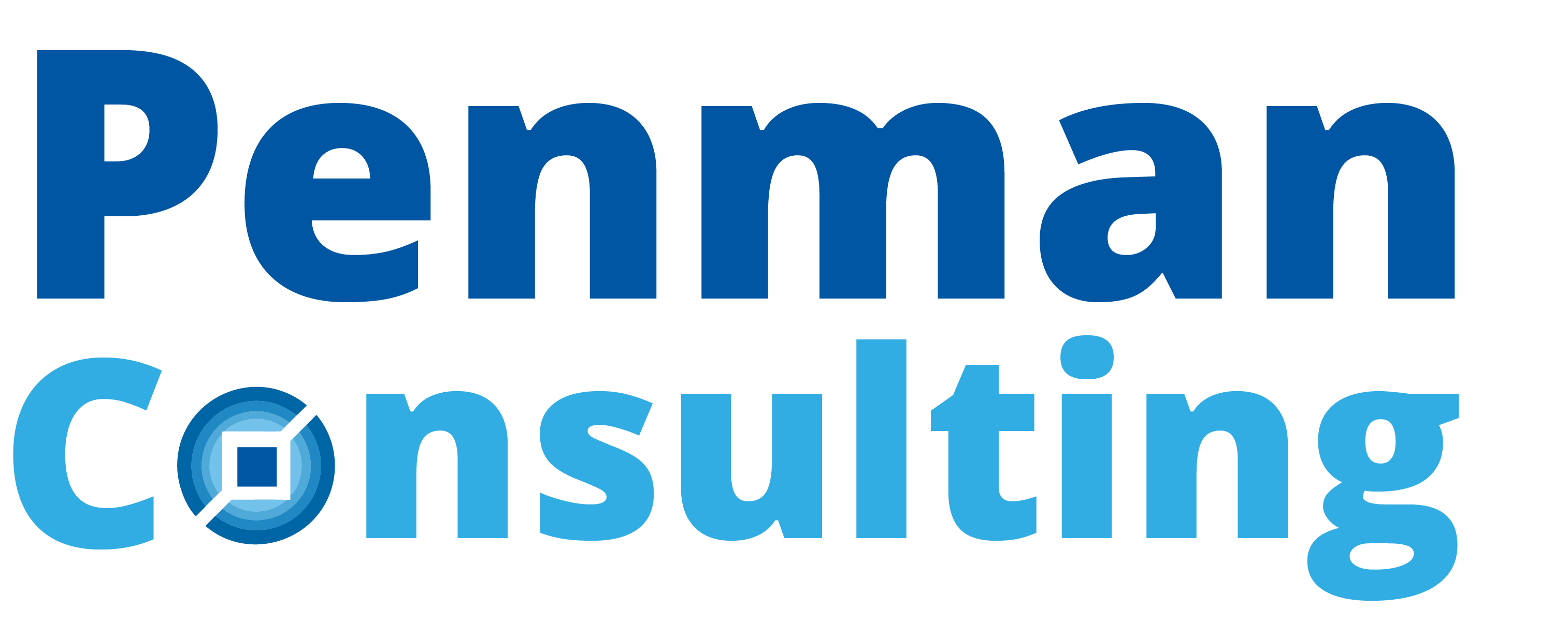 Penman Consulting BV